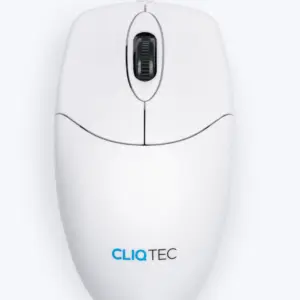 MOUSE 1